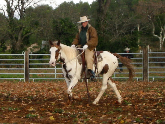 Buck Brannaman