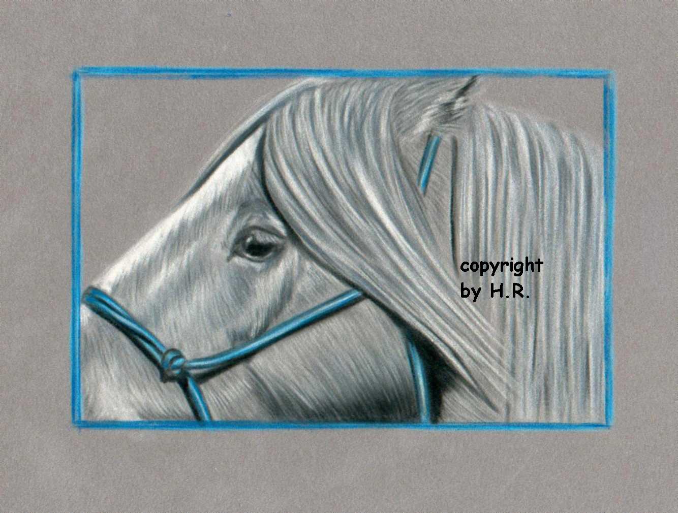 BertiVelourpastell.jpg