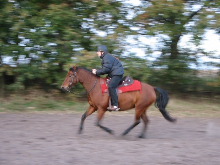 speedy-dabster.jpg